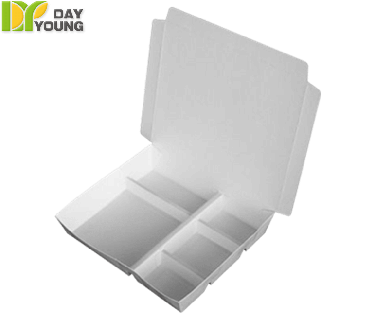 Reusable Food Containers｜Vertical Divide Box 501｜Disposable Cups Manufacturer and Supplier - Day Young, Taiwan